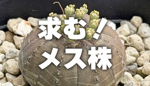 下のソーシャルリンクからフォロー