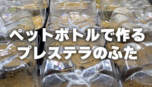 実生におすすめ！ペットボトルで作る「プレステラ90」用のフタ